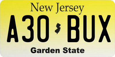 NJ license plate A30BUX