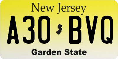 NJ license plate A30BVQ