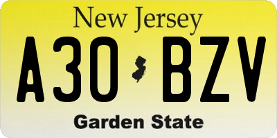 NJ license plate A30BZV