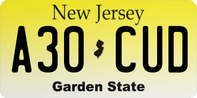 NJ license plate A30CUD