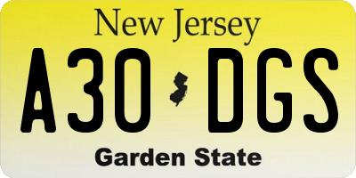 NJ license plate A30DGS