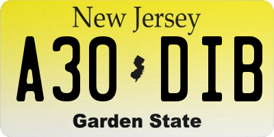 NJ license plate A30DIB