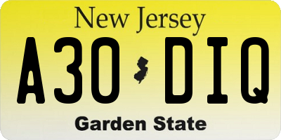 NJ license plate A30DIQ