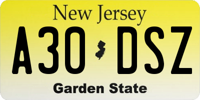 NJ license plate A30DSZ