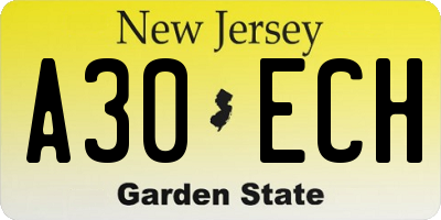 NJ license plate A30ECH