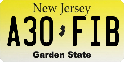 NJ license plate A30FIB