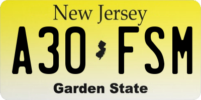 NJ license plate A30FSM