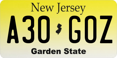 NJ license plate A30GOZ