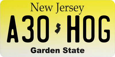 NJ license plate A30HOG