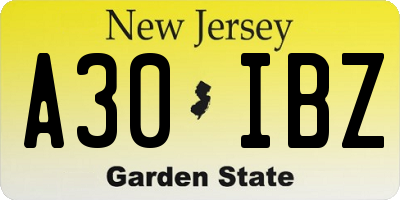 NJ license plate A30IBZ