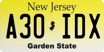 NJ license plate A30IDX