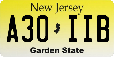 NJ license plate A30IIB