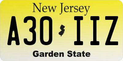 NJ license plate A30IIZ