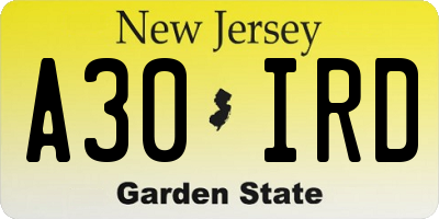 NJ license plate A30IRD