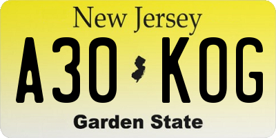NJ license plate A30KOG