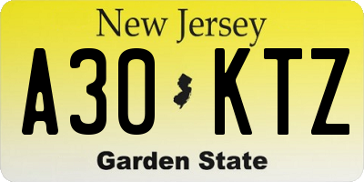 NJ license plate A30KTZ