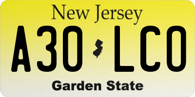 NJ license plate A30LCO