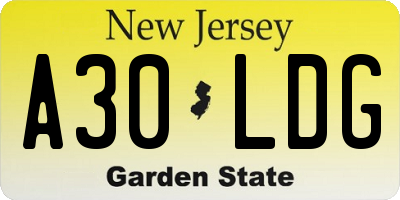 NJ license plate A30LDG
