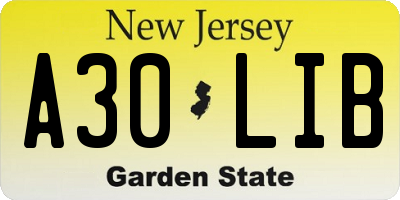 NJ license plate A30LIB