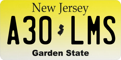 NJ license plate A30LMS