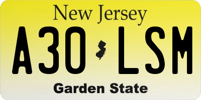 NJ license plate A30LSM