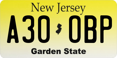 NJ license plate A30OBP