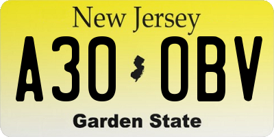 NJ license plate A30OBV