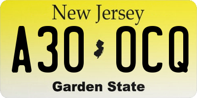 NJ license plate A30OCQ