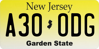 NJ license plate A30ODG