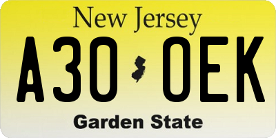 NJ license plate A30OEK