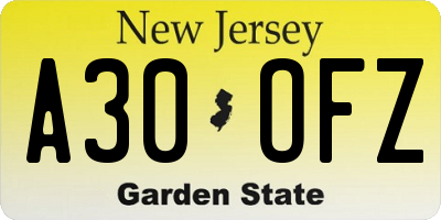 NJ license plate A30OFZ