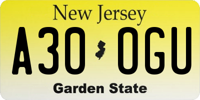 NJ license plate A30OGU
