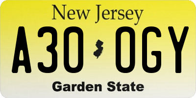 NJ license plate A30OGY