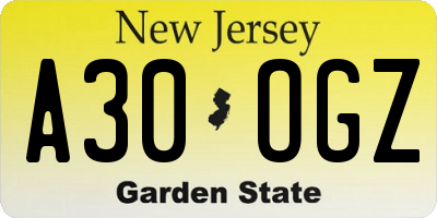 NJ license plate A30OGZ
