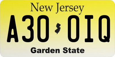 NJ license plate A30OIQ