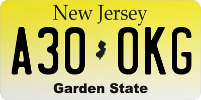 NJ license plate A30OKG