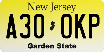 NJ license plate A30OKP