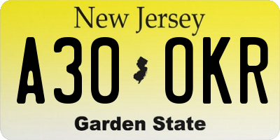 NJ license plate A30OKR