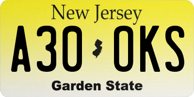 NJ license plate A30OKS