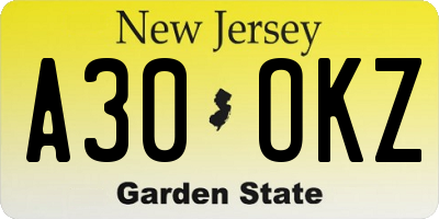NJ license plate A30OKZ