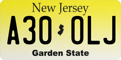 NJ license plate A30OLJ