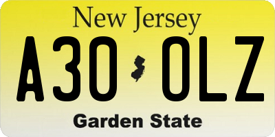 NJ license plate A30OLZ