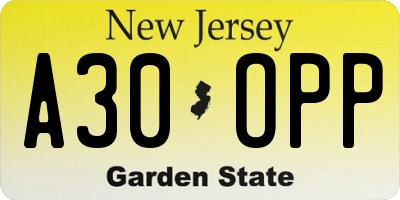 NJ license plate A30OPP