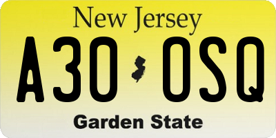 NJ license plate A30OSQ