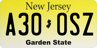 NJ license plate A30OSZ