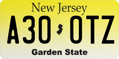 NJ license plate A30OTZ