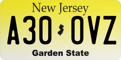 NJ license plate A30OVZ