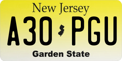 NJ license plate A30PGU