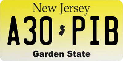 NJ license plate A30PIB