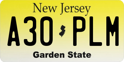 NJ license plate A30PLM